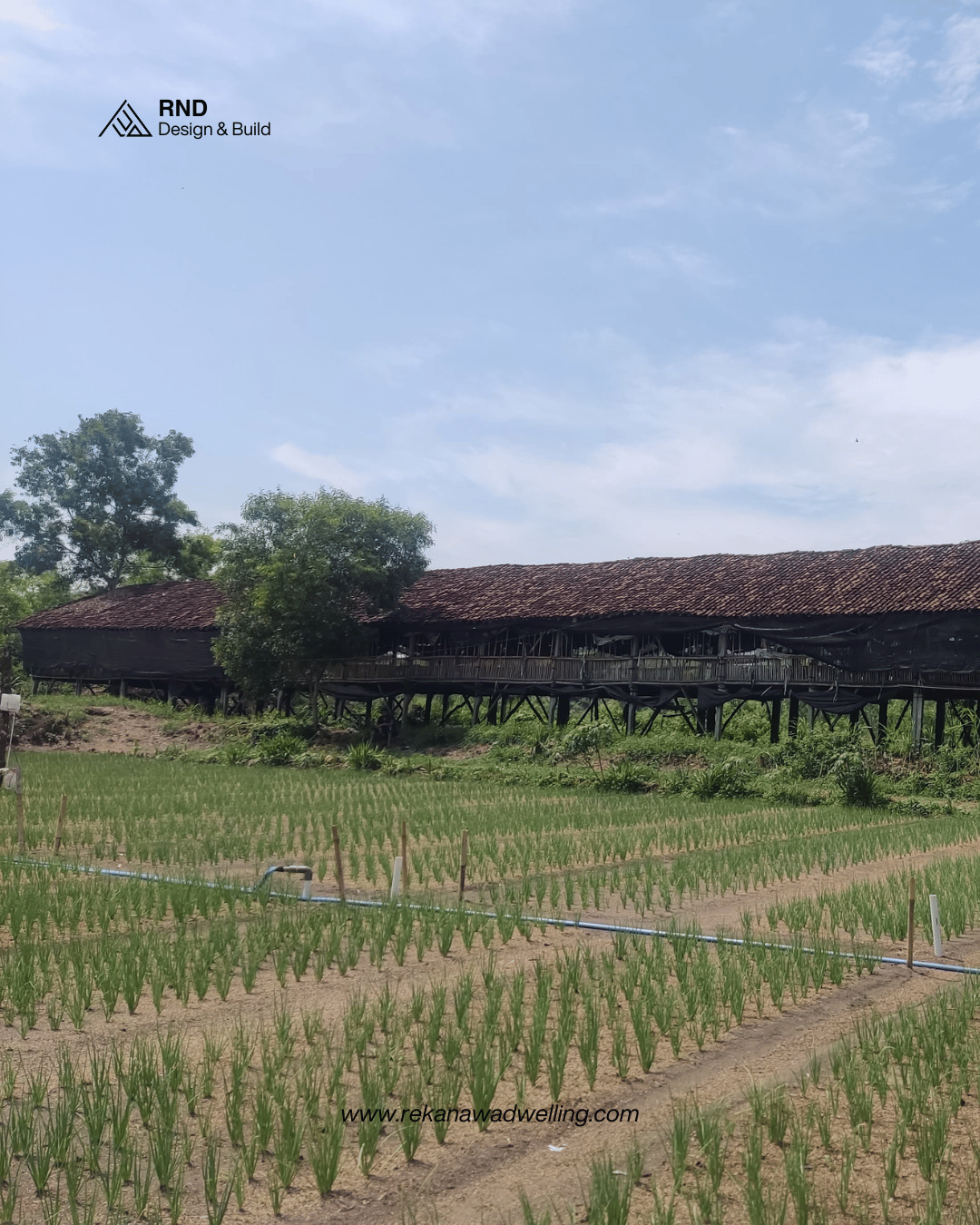 Gambar properti Tanah Kosong - Galeri 1